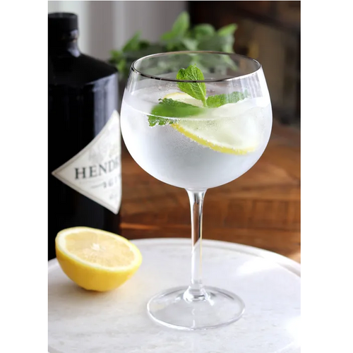 Old Mill Road Silver Rim Gin Glasses Set of 4 - Have To Have It NZ