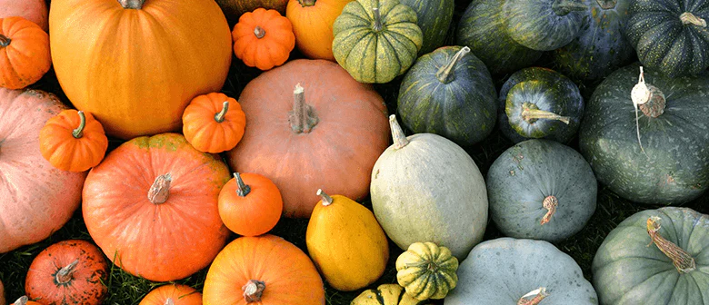 Embrace the Flavours of Autumn: Delicious Seasonal Recipes Featuring Pumpkin