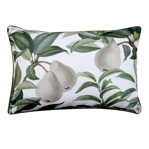 Madras Link 40x60cm Pears Cushion - Have To Have It NZ