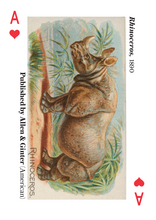 Load image into Gallery viewer, The Metropolitan Museum Of Art Animal Playing Cards - Have To Have It NZ