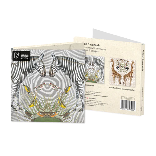 Natural History Museum African Savannah Notecard Wallet Set Of 8 - Have To Have It NZ
