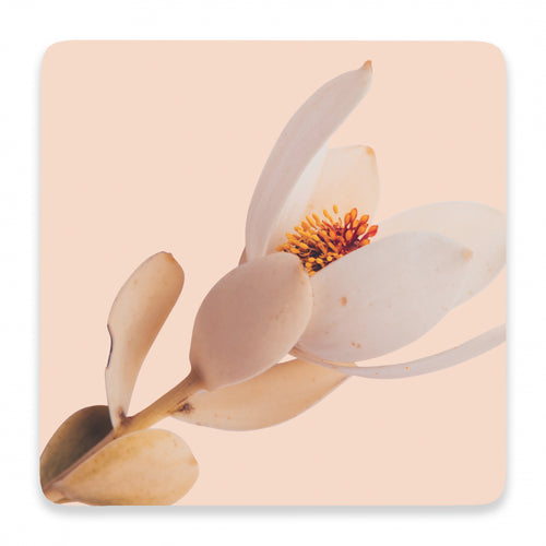 Flourish Pink Flower Ceramic Coaster - Have To Have It NZ