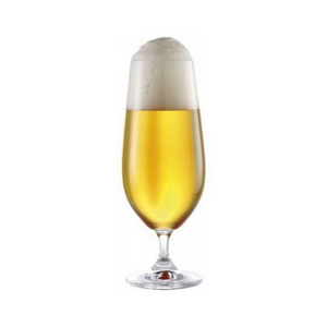 Bohemia 380ml Lara Pilsner Beer Glasses - Set Of 6 - Have To Have It NZ