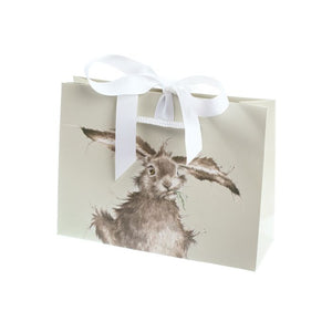 Wrendale 'The Diet Starts Tomorrow' Hamster Socks & Gift Bag - Have To Have It NZ