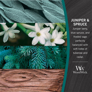 Woodwick Medium Juniper & Spruce Candle - Have To Have It NZ